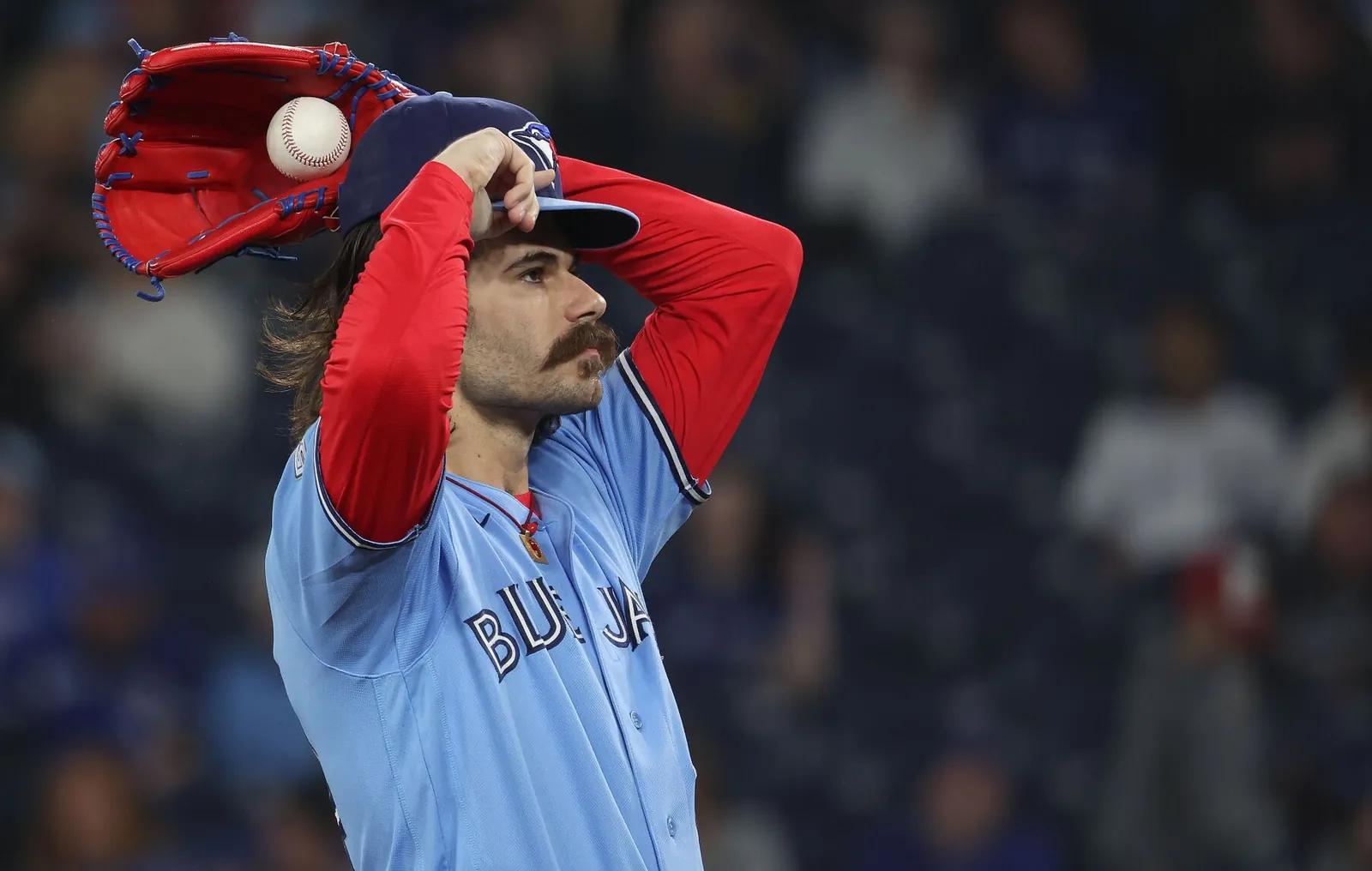 jays cease.JPG